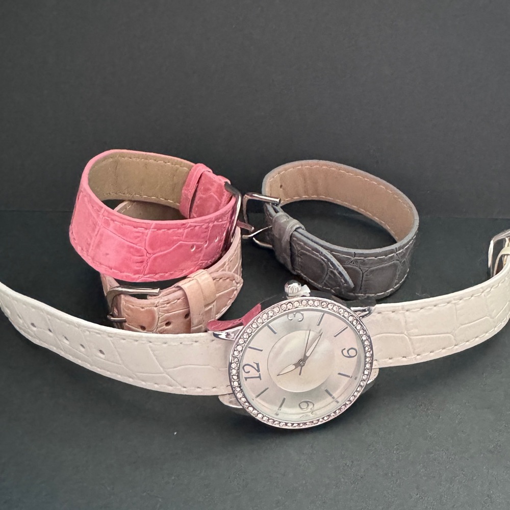 Stainless steel watch with multiple bands
